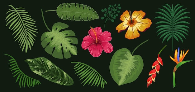 Tropical flowers and foliage green palm and monstera leaves in vintage style vector illustration