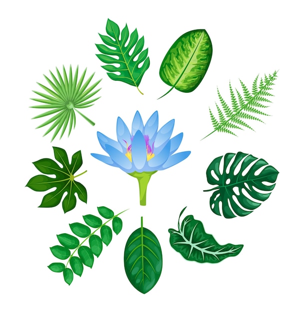 열 대 꽃과 잎 세트입니다. 열 대 유행 여름 야자수 잎과 정글, 잎 꽃 alocasia, dieffenbachia, plumeria 벡터 격리 요소