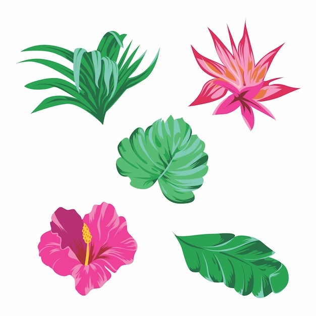 Vector tropical flowers and leaves