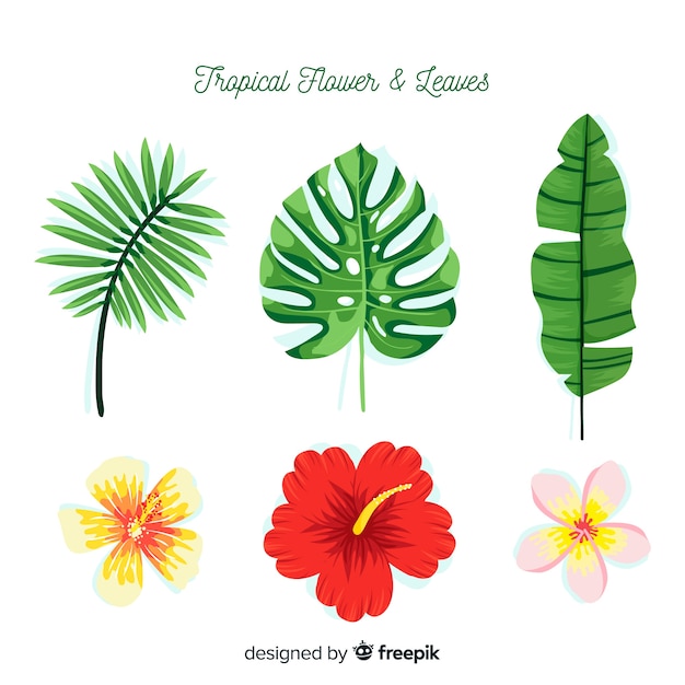 Tropical flowers and leaves