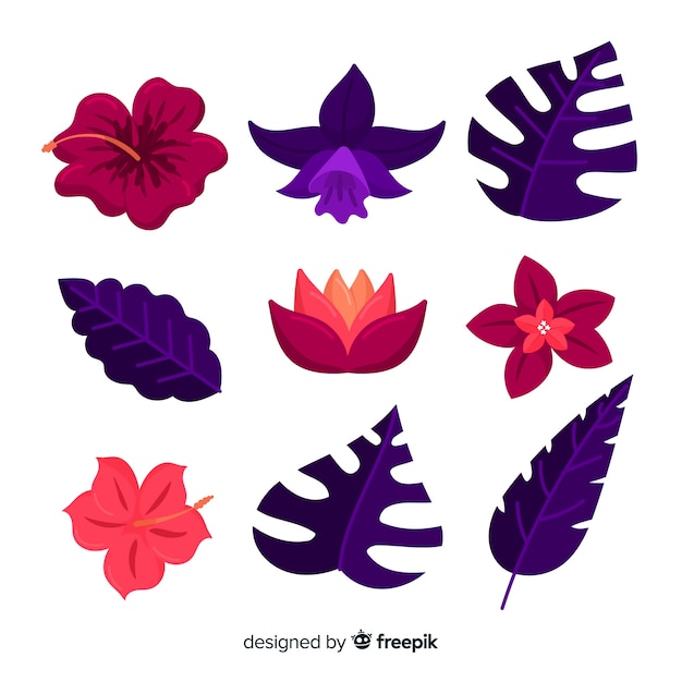 Tropical flowers and leaves