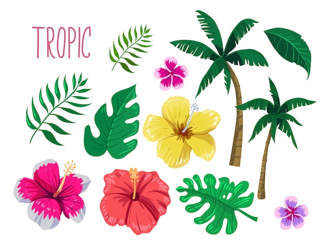 Tropical flowers and palm trees