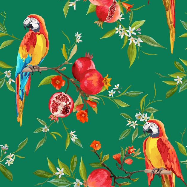 Tropical flowers, pomegranates and parrot birds background