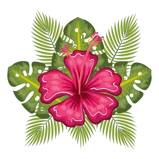 Vector tropical flowers