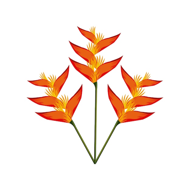 Vector tropical flowers