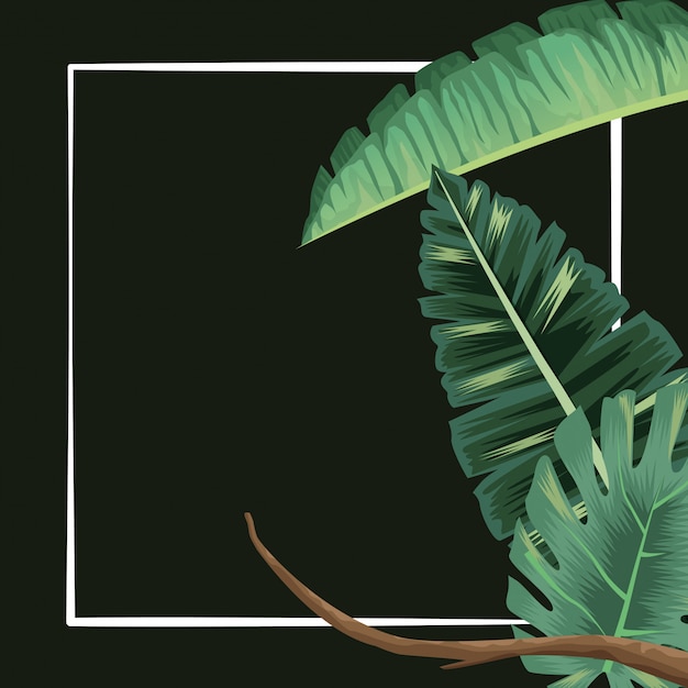 Vector tropical foliage leaves monstera branch