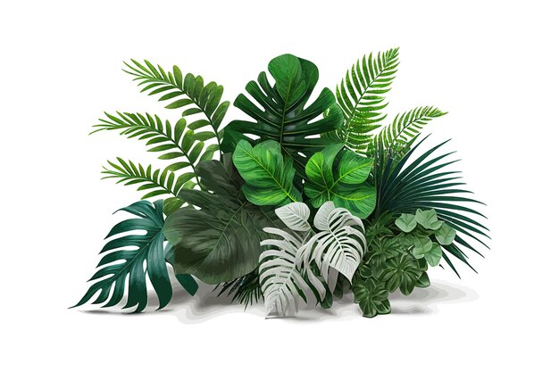 Tropical foliage plant bush Monstera palm leaves Vector illustration desing