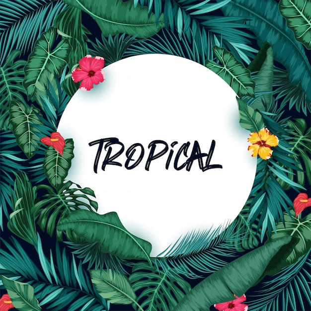 Vector tropical forest background with round paper