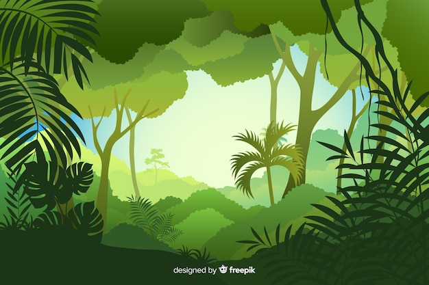 Tropical forest landscape day time