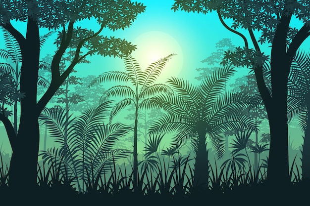 Tropical forest in the sunrise view with trees and blue sky