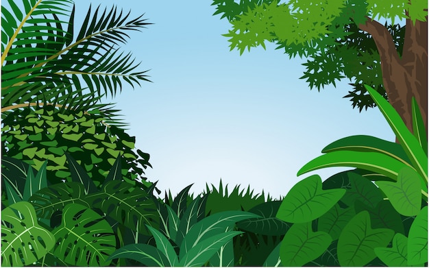 Vector tropical forest