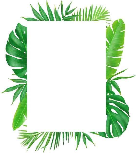 Tropical frame background handpainted leaves