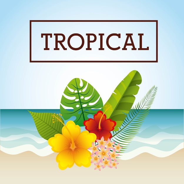 Design del telaio tropicale