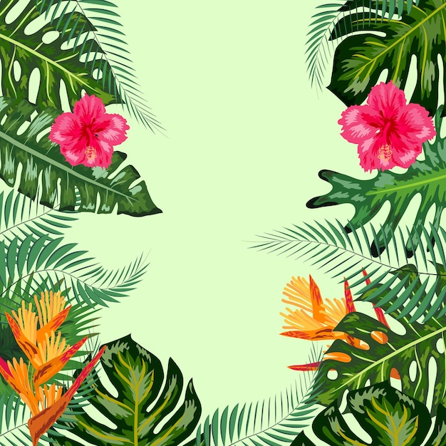 Tropical frame flowers monstera leaves background place for an inscription