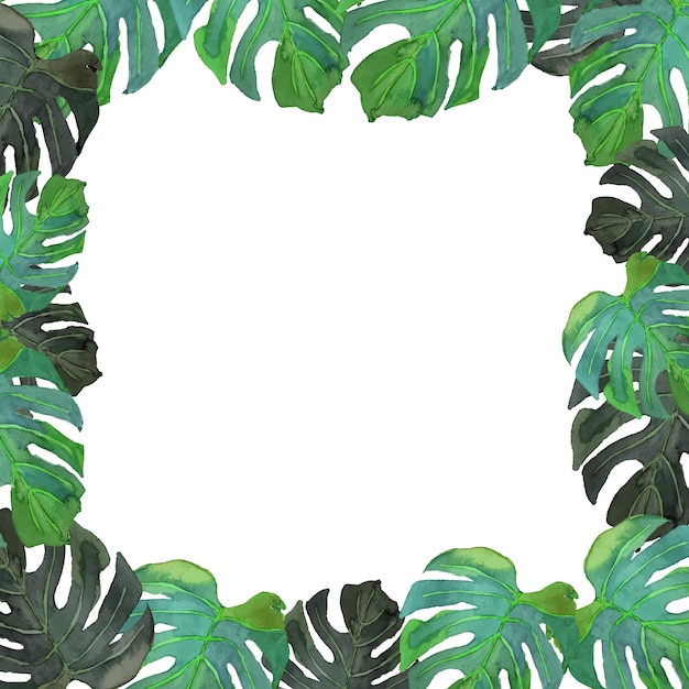 Vector tropical frame with colorful green leaves in watercolor on white vector illustration