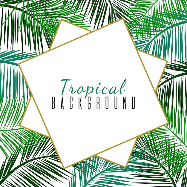 Vector tropical frame with palms leaves