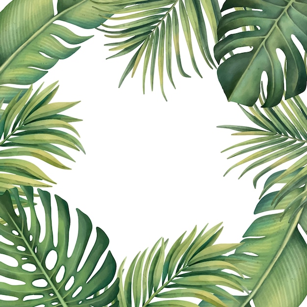 Tropical frame with plants on a white background Watercolor hand painted palm leaves