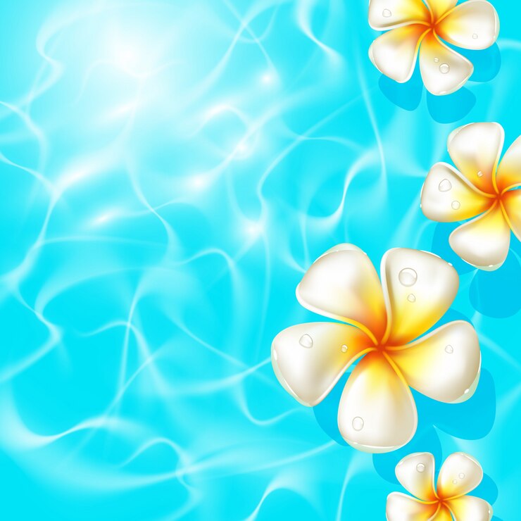 Tropical frangipani flowers floating on clear blue water