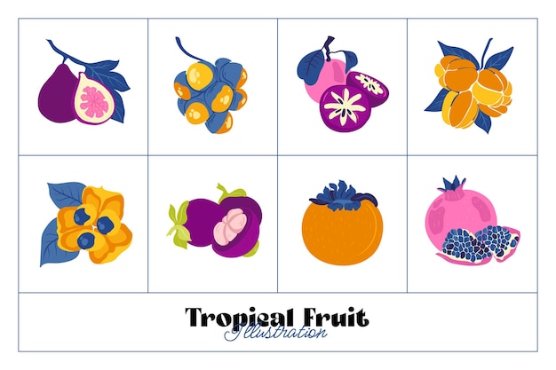 Tropical fruit and graphic design elements collection Ingredients color cliparts