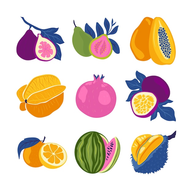 Vector tropical fruit and graphic design elements collection ingredients color