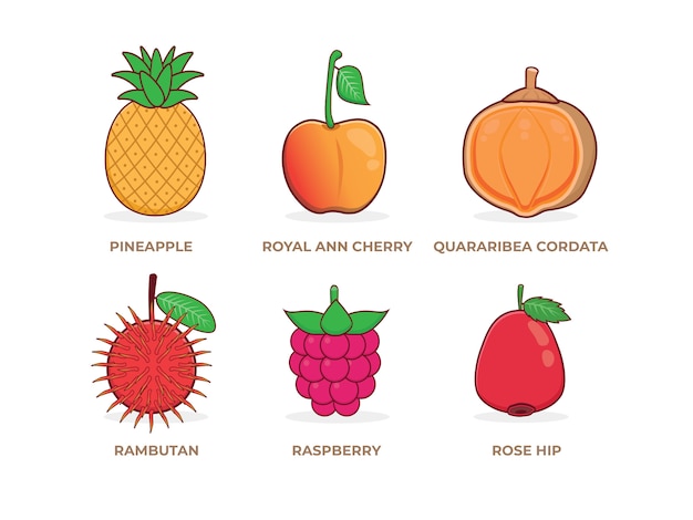 Illustrazione dell'insieme della frutta tropicale