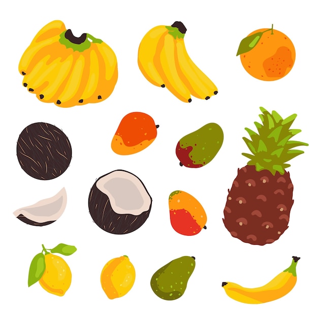 Tropical fruit set isolated on white background. vector illustration in flat style.