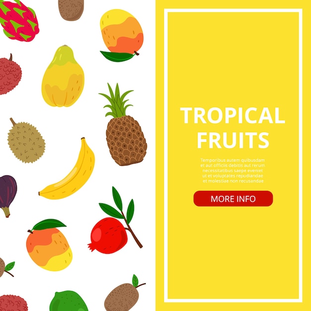 Tropical fruits banner. info about fresh food, asian or african fruit vector flyer