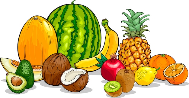 tropical fruits cartoon illustration