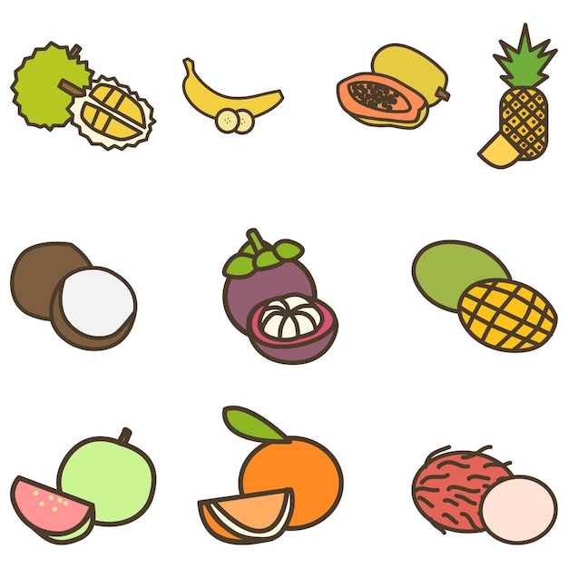 Vector tropical fruits cute flat line illustration