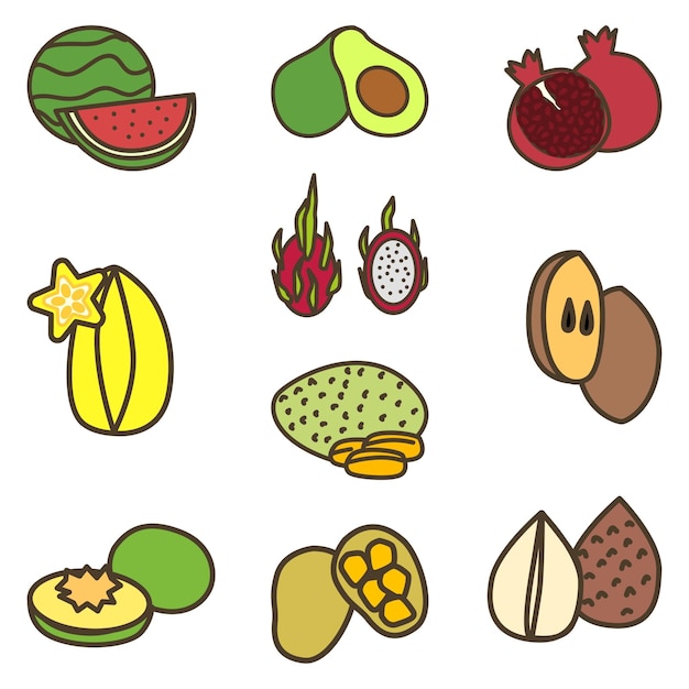 Vector tropical fruits cute flat line illustration