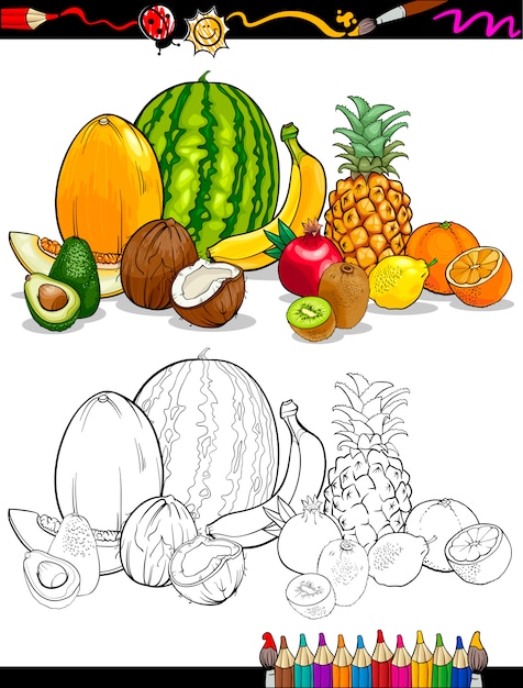 Vector tropical fruits group for coloring book