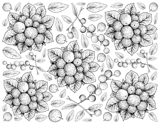 Tropical fruits illustration wallpaper of hand drawn sketch