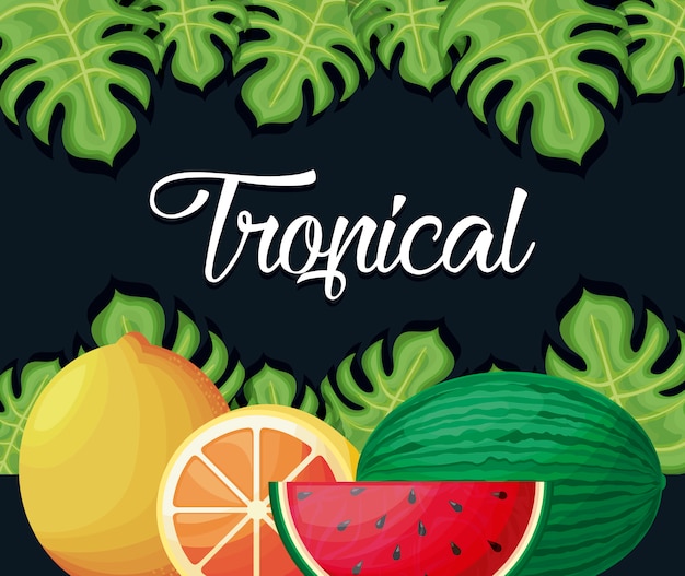 Vector tropical fruits and leaves illustration