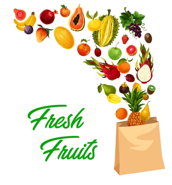 Vector tropical fruits market farm food exotic fruits