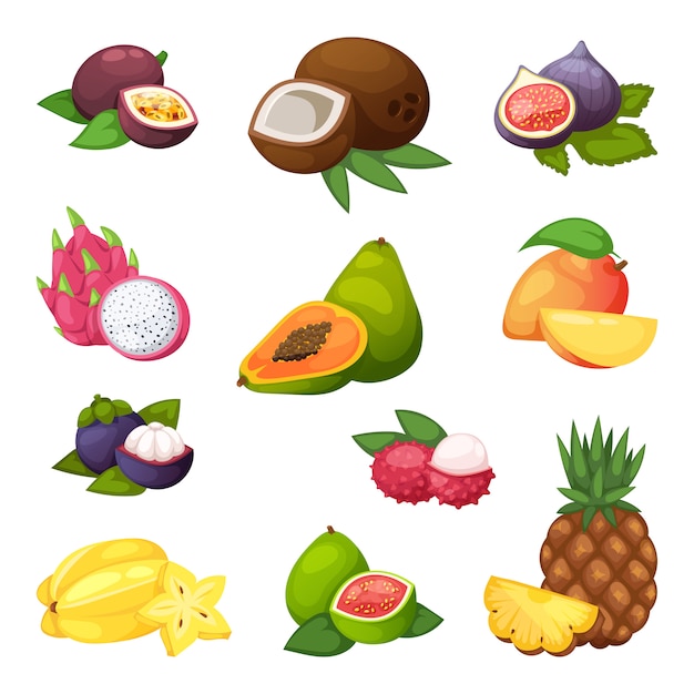 Vector tropical fruits  set.