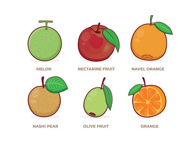 Tropical Fruits Set