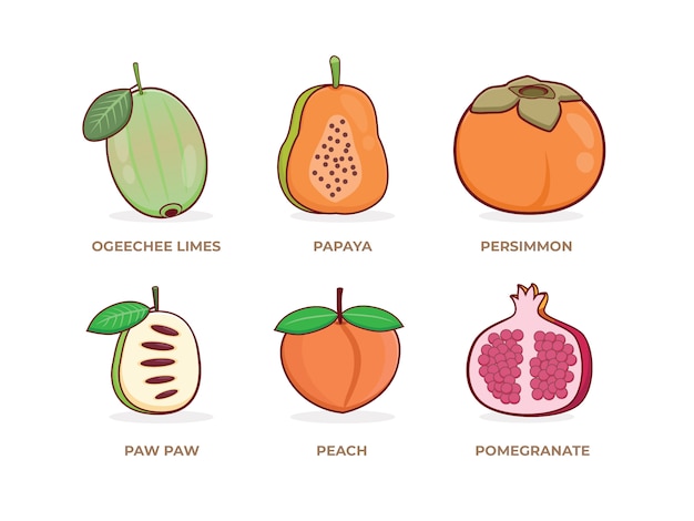 Vector tropical fruits set