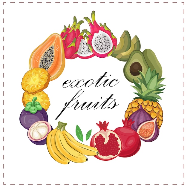 Vettore frutta tropicale cucina vegana con vettore disegnato a mano avocado drago frutta papaia ananas banana melograno mangostano fico frutta biologica o cibo vegetariano