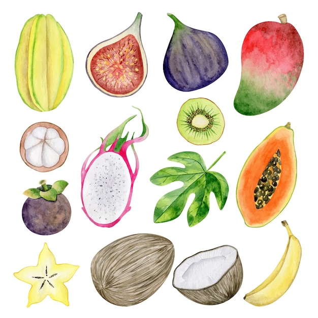 Collezione di acquerelli di frutti tropicali frutta esotica disegnata a mano elementi isolati su sfondo bianco