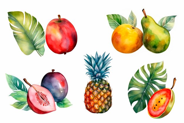 Vector tropical fruits on a white background