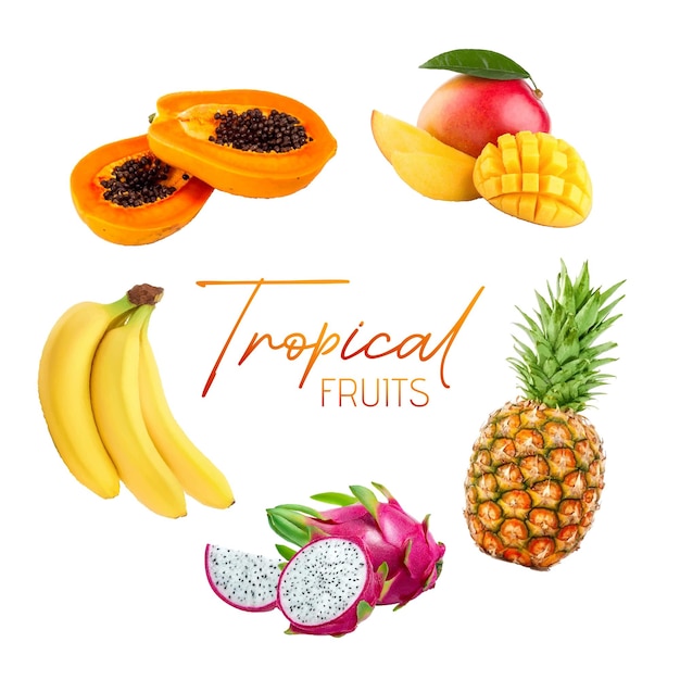 Vettore frutta tropicale