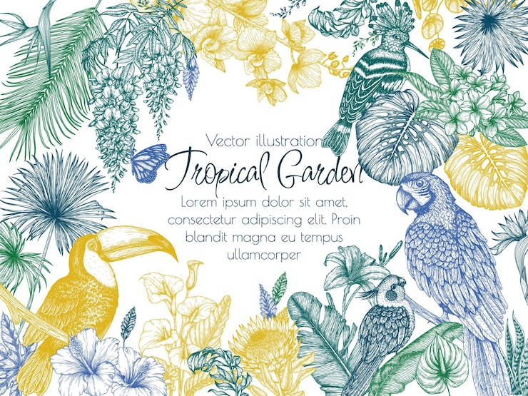 Vector tropical garden frame with exotic birds and butterflies macaw parrot toucan hoopoe and corella
