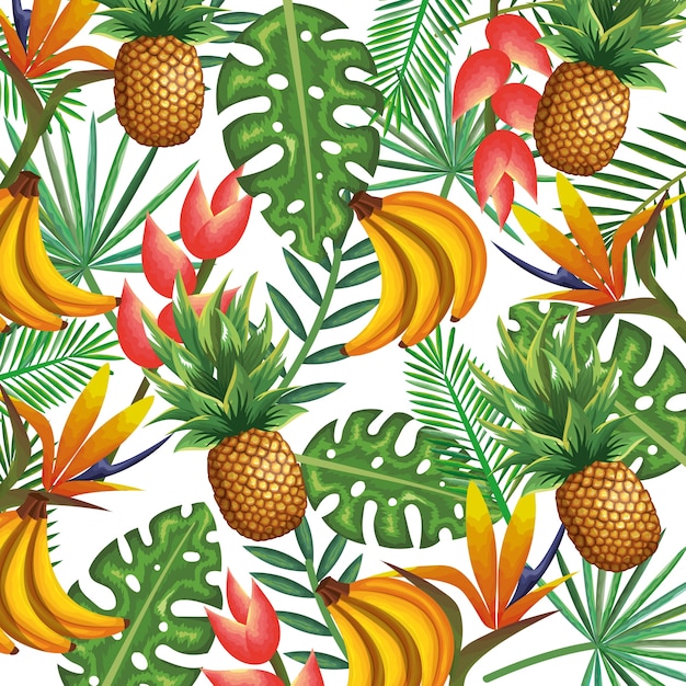 Tropical garden with pineapple and banana cluster