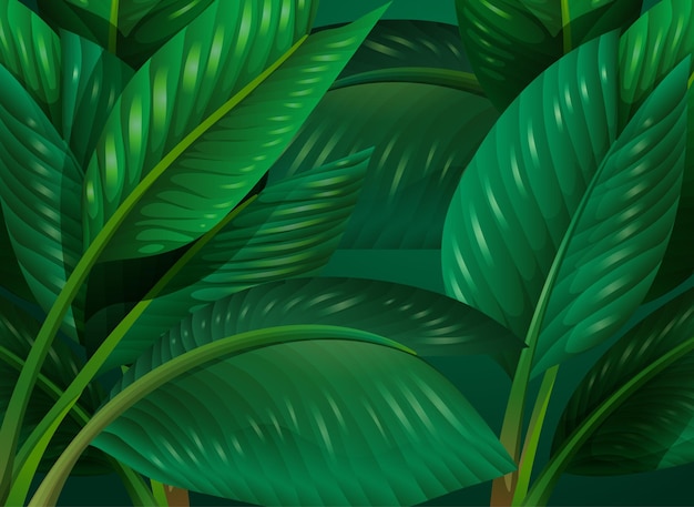 Tropical green leaves background