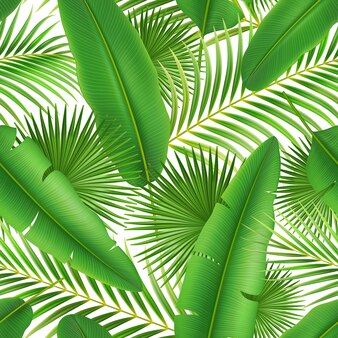 Progettazione senza cuciture del modello d delle foglie verdi tropicali