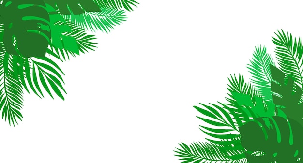 Tropical horizontal frame with beautiful tropical leaves Summer background for posters cards covers advertising