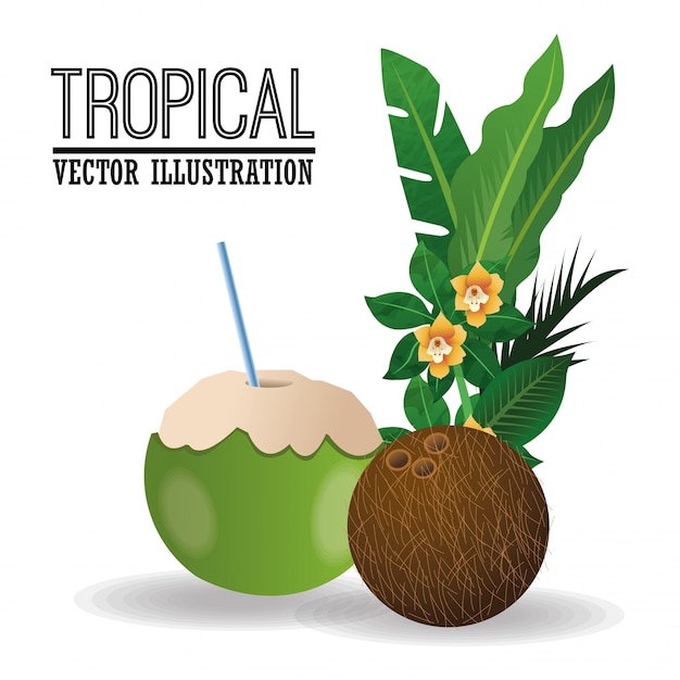 Tropical icon design 