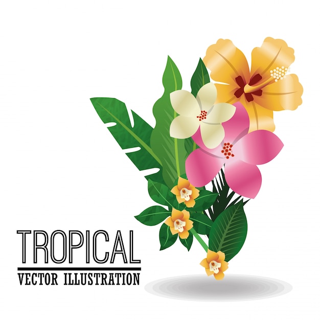 Vettore disegno dell'icona tropicale