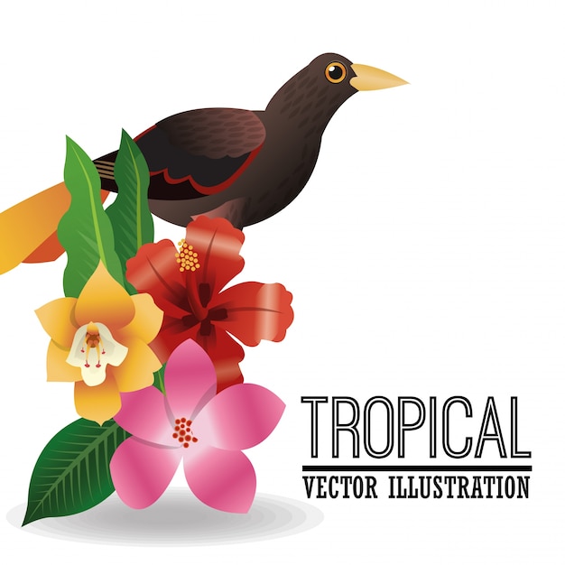 Vector tropical icon design