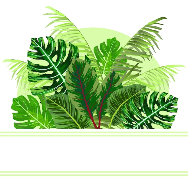 Tropical jungle leaves background